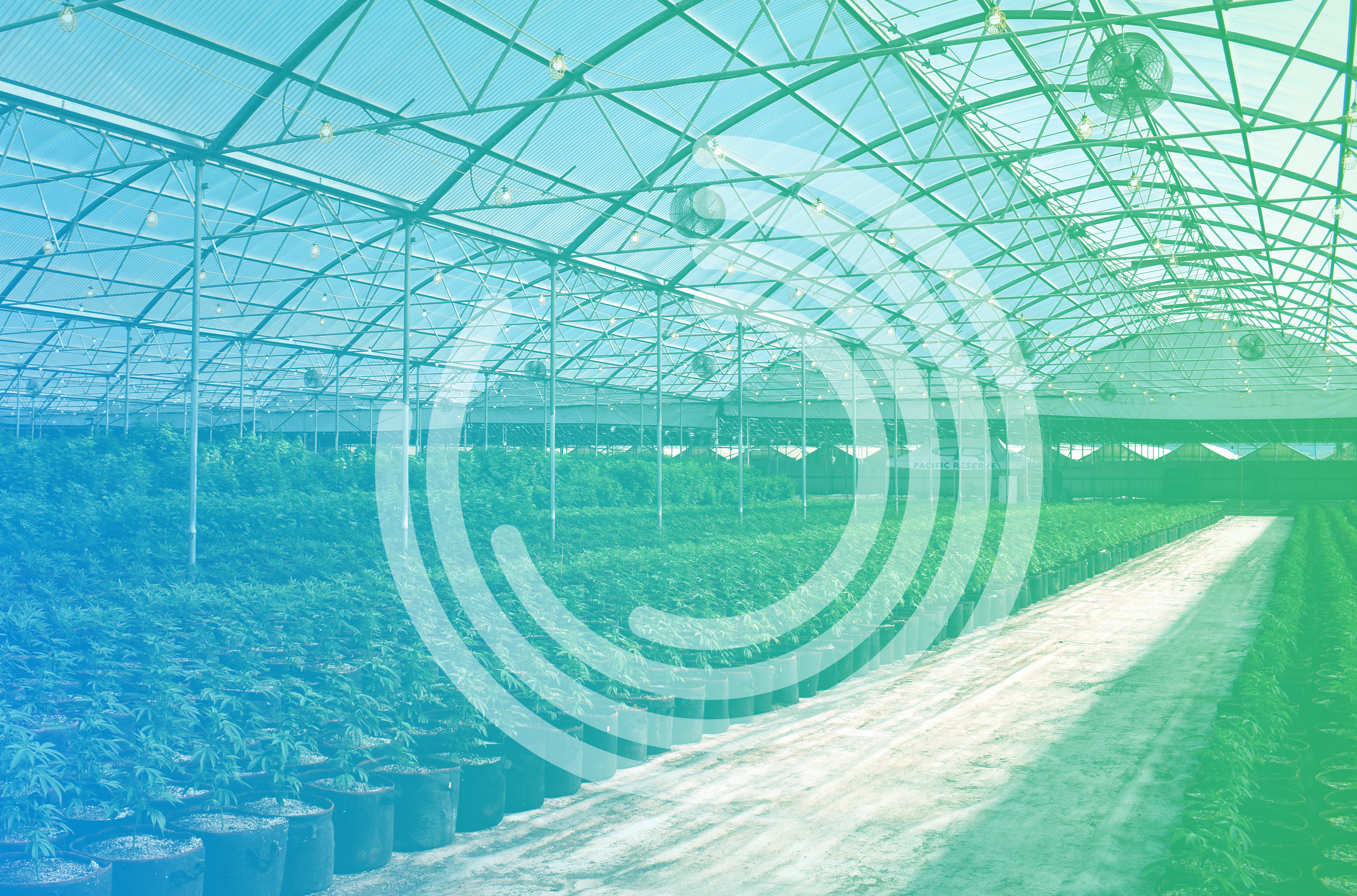 Greenhouse_R2